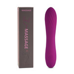 10 SPEEDS RECHARGEABLE SILICONE PURPLE COLOR CLASSIC VIBRATOR