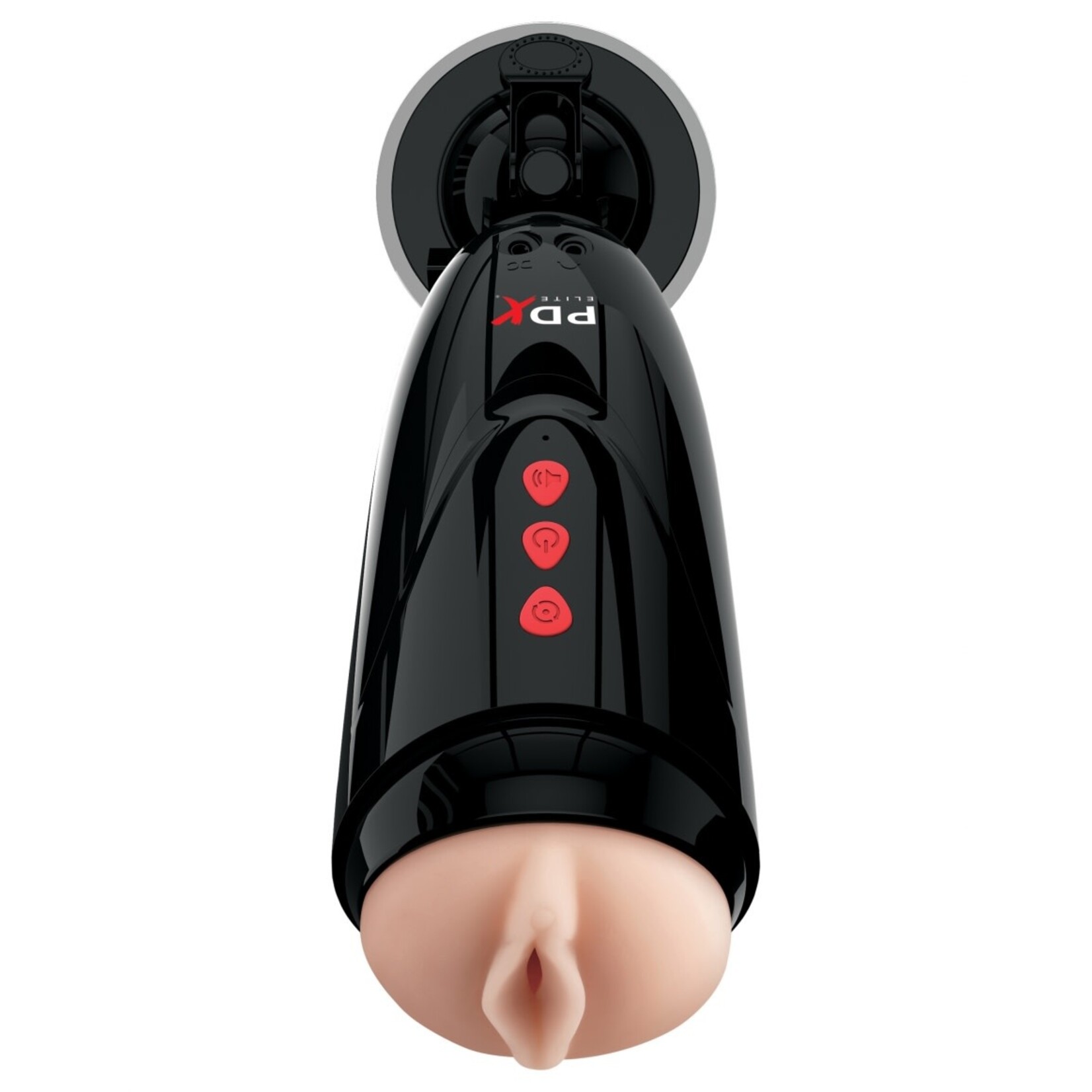 PDX PDX ELITE DIRTY TALK STARTER STROKER