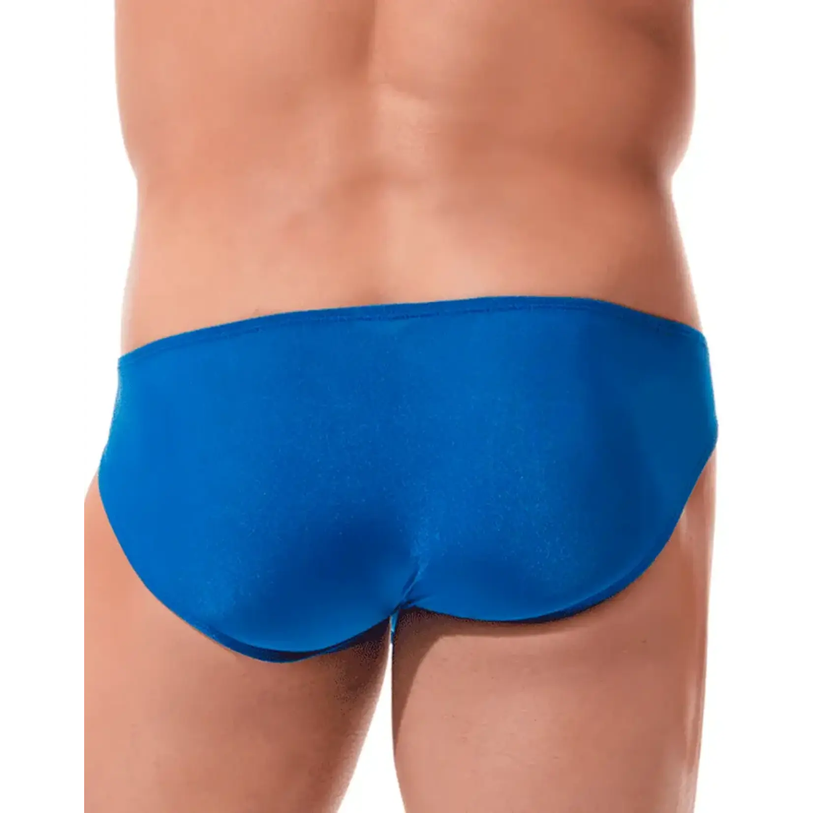 GREGG HOMME TORRIDZ BRIEFS ROYAL MEDIUM