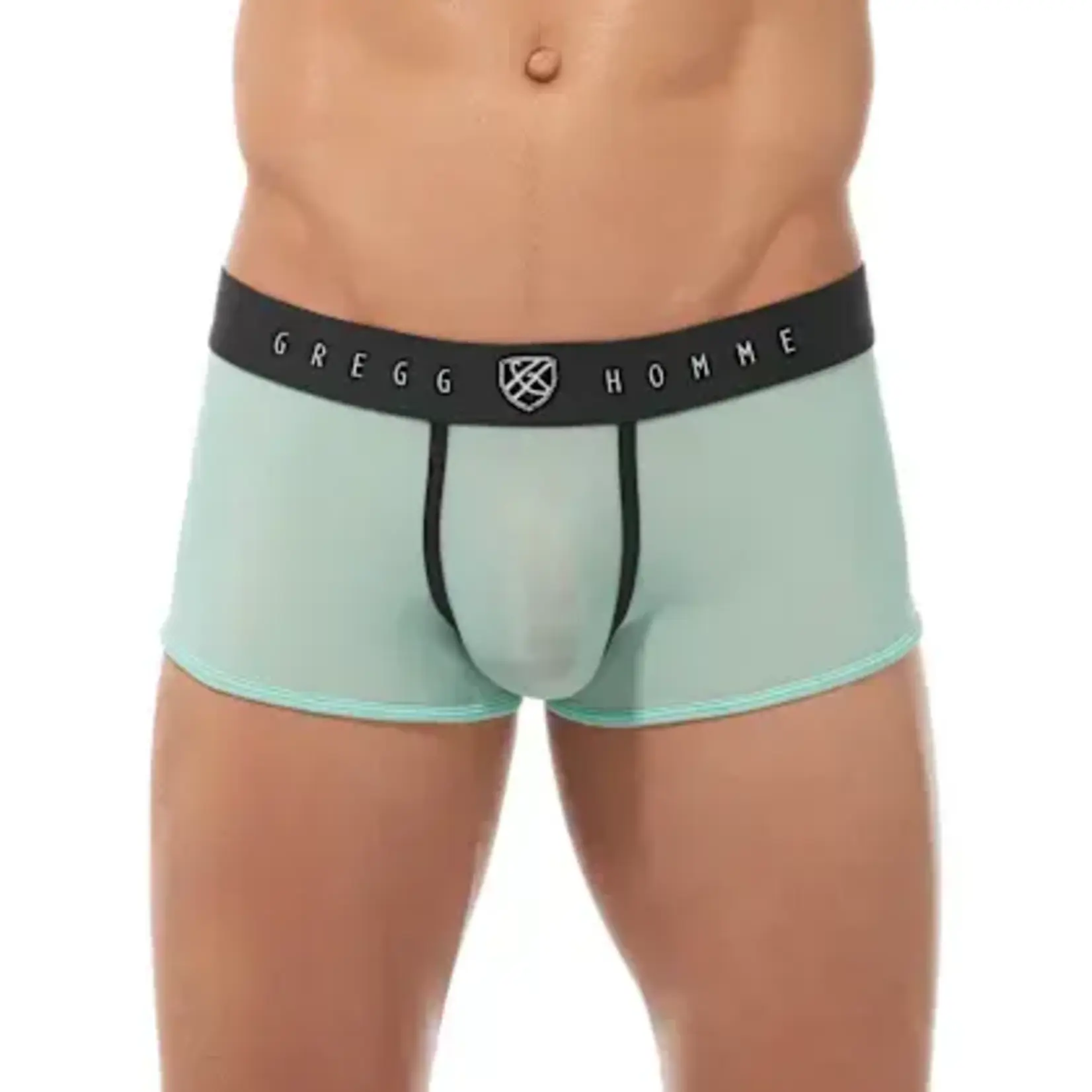 GREGG HOMME TORRIDZ TRUNKS MINT LARGE