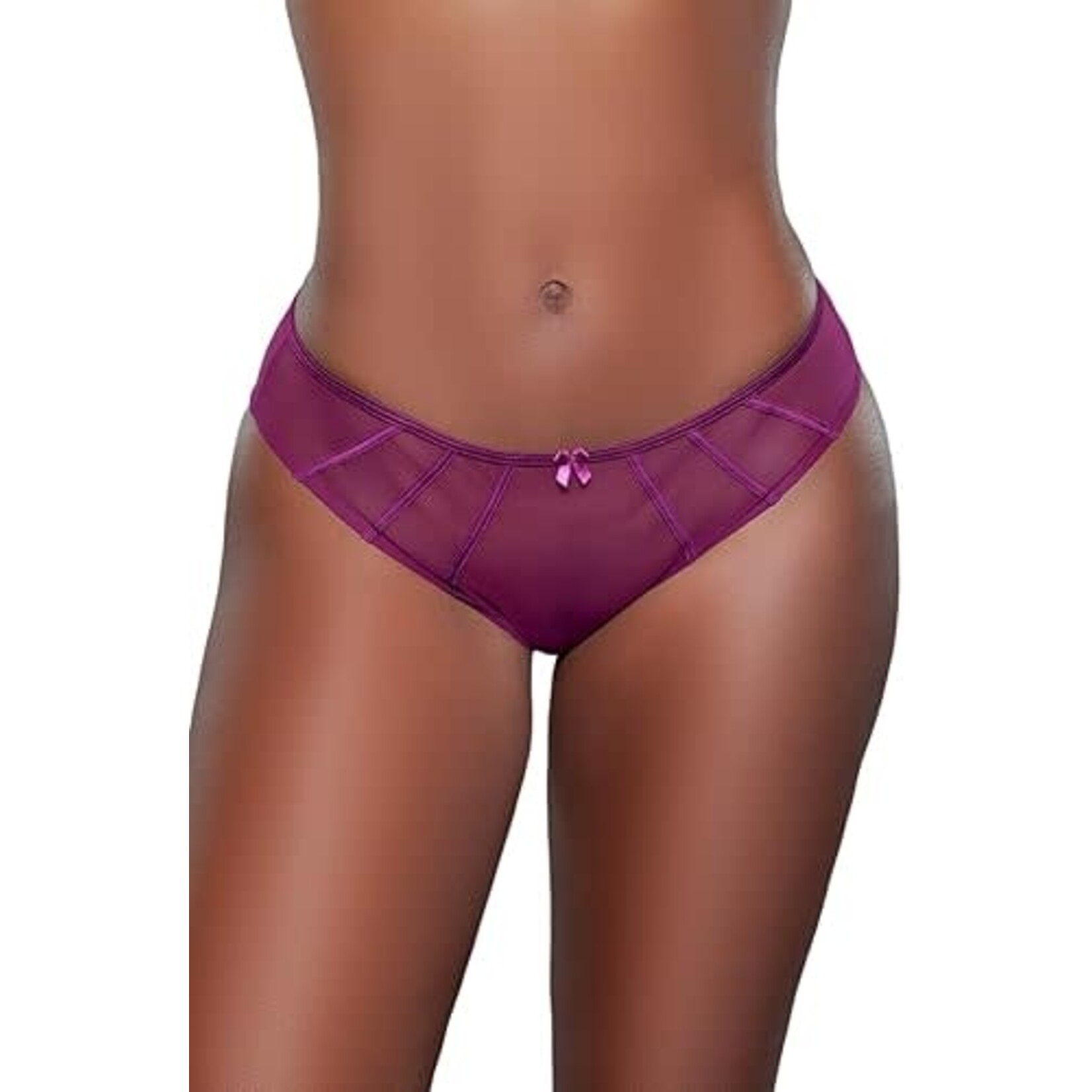 BE WICKED SABRINA PANTY PURPLE - XLARGE