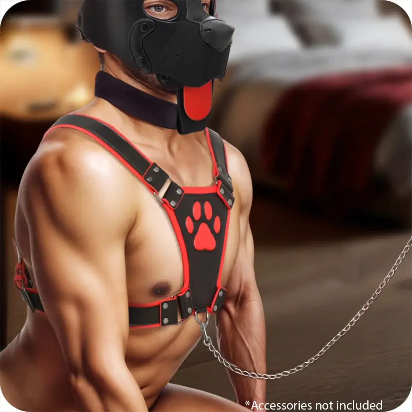 MASTER SERIES MASTER SERIES ALPHA PUP BULLDOG HARNESS - RED
