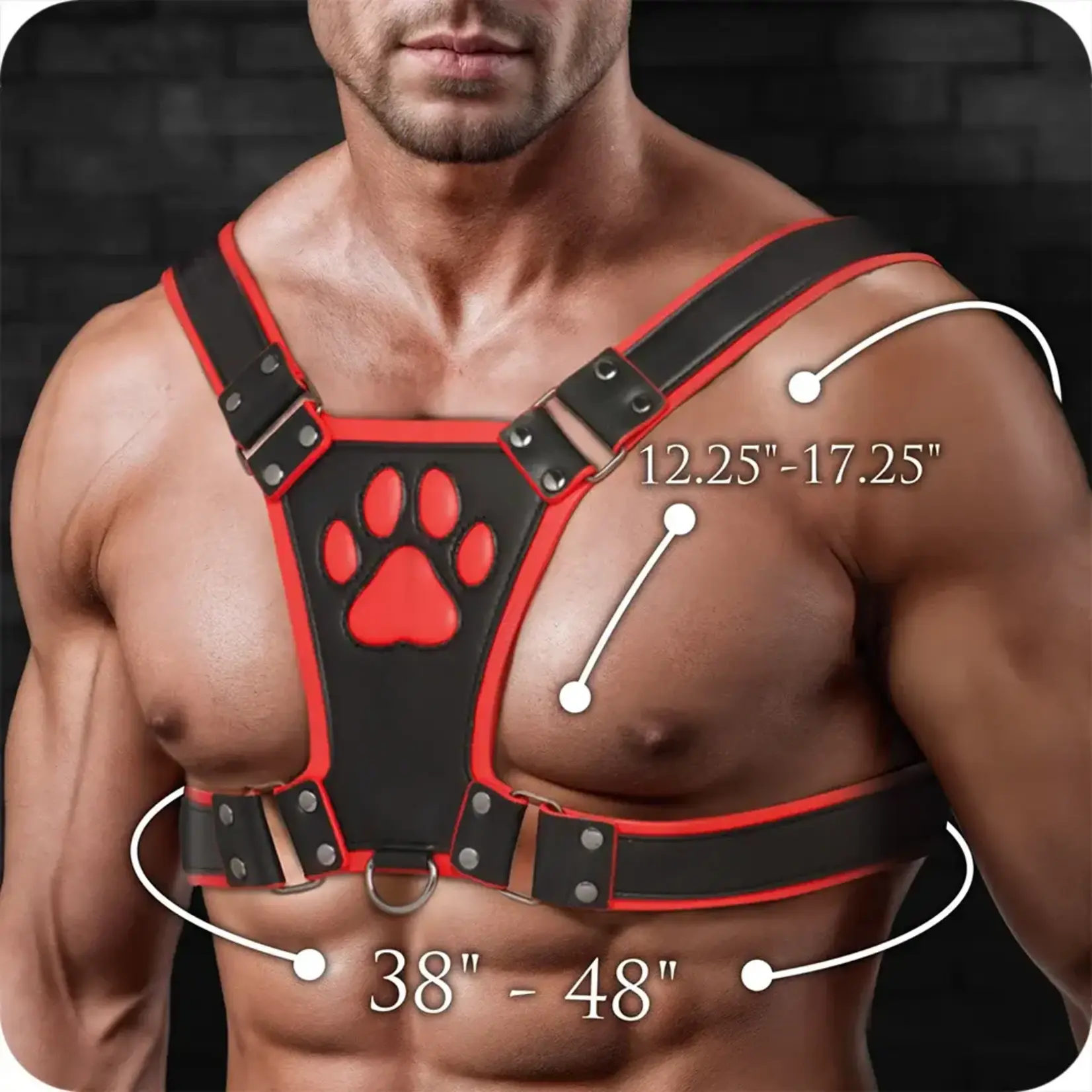 MASTER SERIES MASTER SERIES ALPHA PUP BULLDOG HARNESS - RED