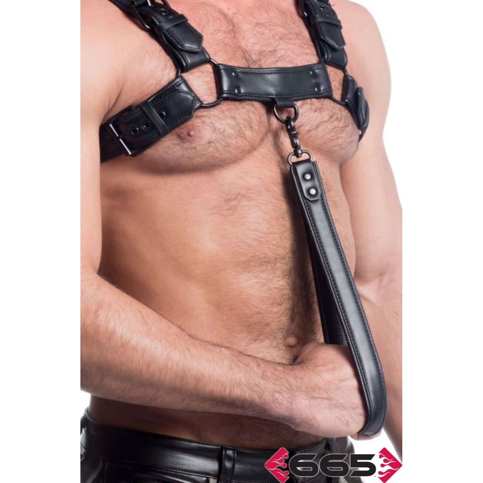 VEGAN LEASH