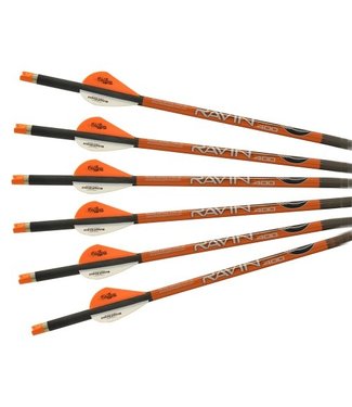 RAVIN CROSSBOWS Ravin .001 Premium Arrows - 6-Pack