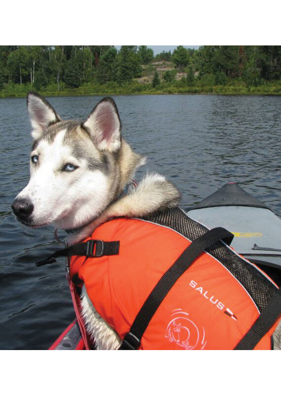 Salus skippy best sale dog life jacket
