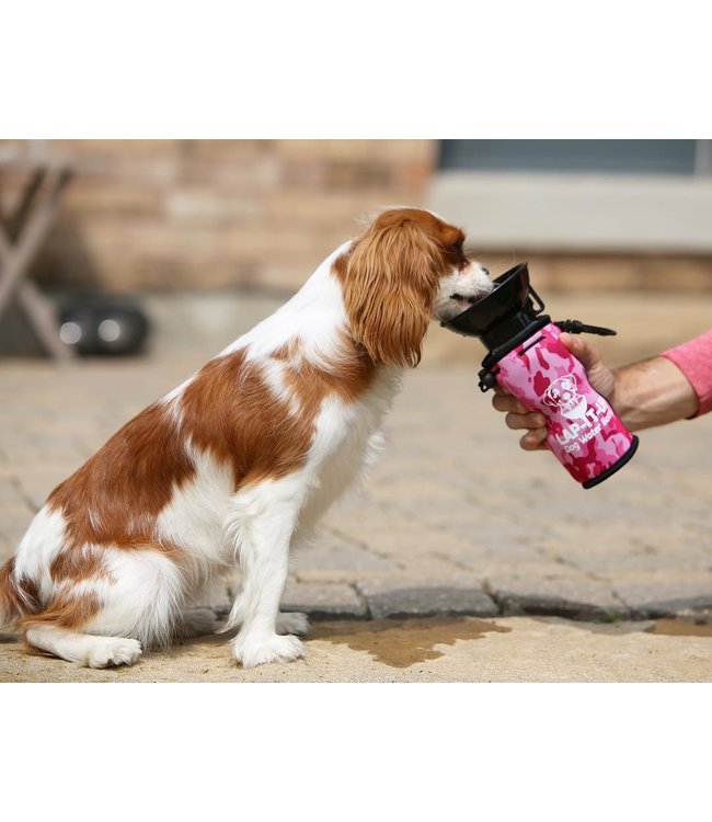 lap it up water bottle