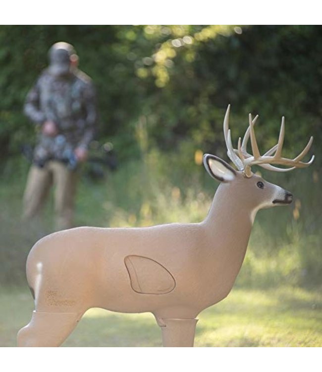 Shooter Buck 3-D Target
