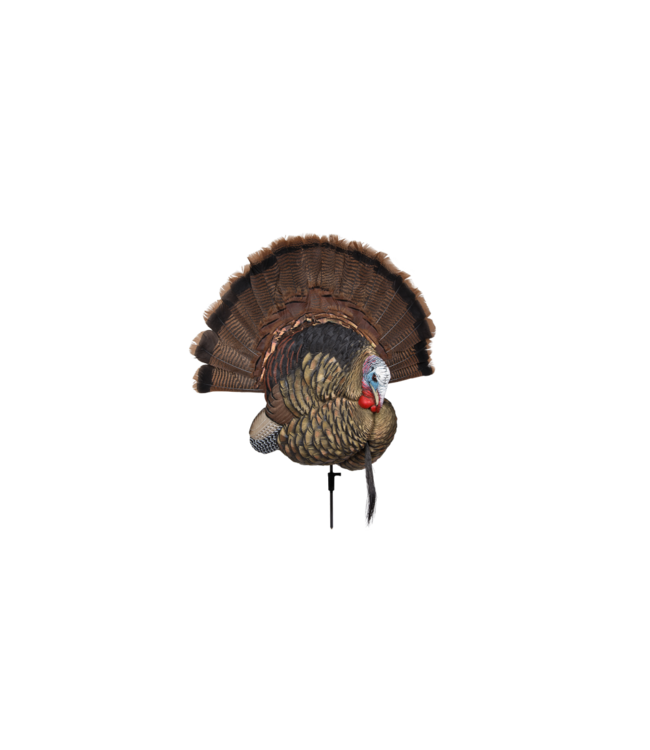 Avian-X Trophy Tom Turkey Decoy