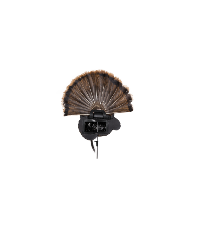 Avian-X Trophy Tom Turkey Decoy