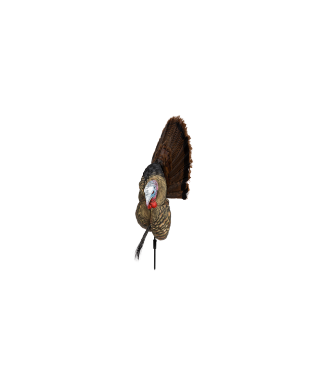 Avian-X Trophy Tom Turkey Decoy
