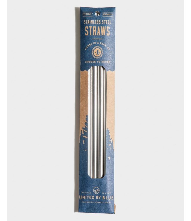 Stainless Steel Straw 4 Pack