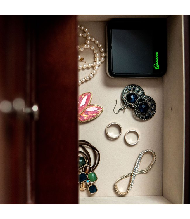 The Puck Digital Safe Sensor