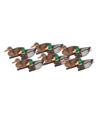FLAMBEAU Masters Series Mallard - 12-Pack [6-Drake, 6-Hen]