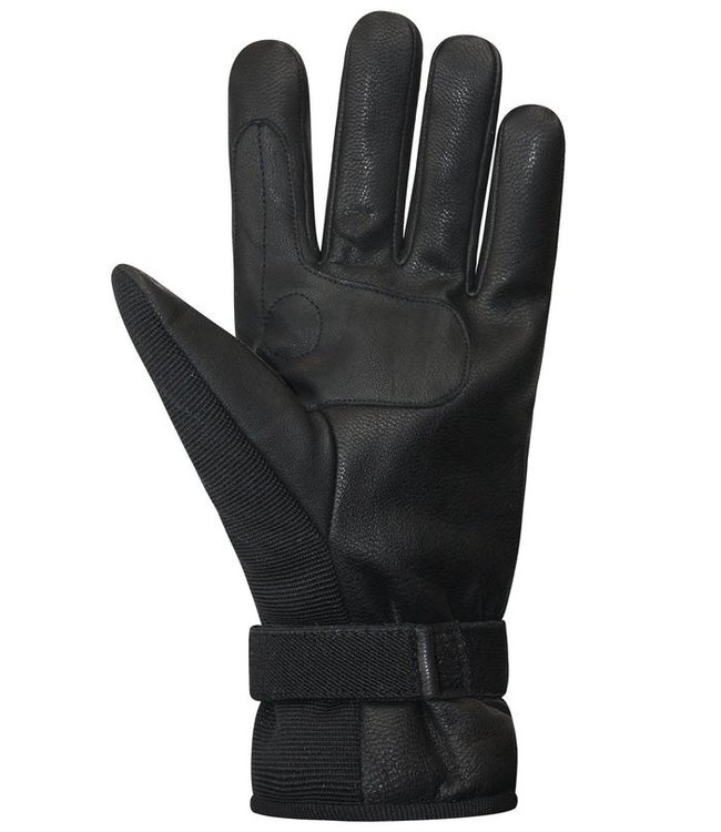 Auclair Men's  Lillehammer Gloves