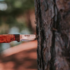 Knives & Tools