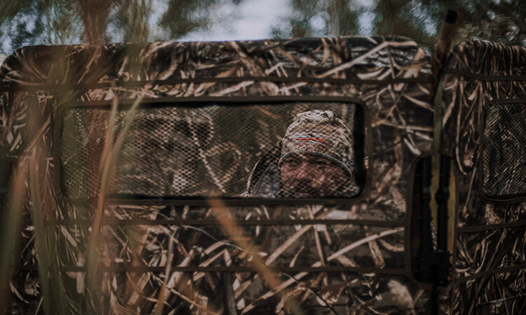Hunting