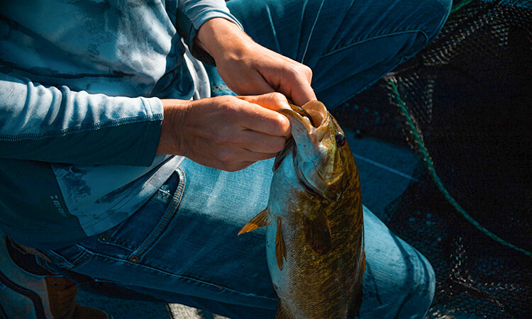Fishing