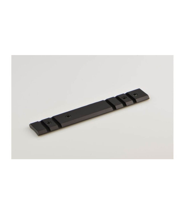 Warne Ruger 10/22 Base 10Moa