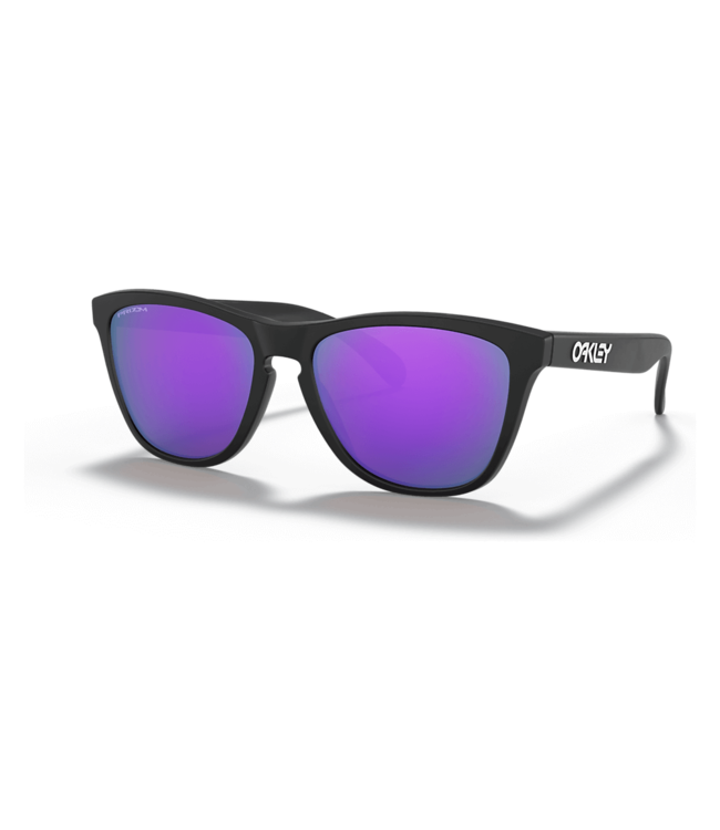 Oakley Frogskins Sunglasses