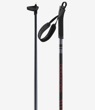 SALOMON Salomon Escape Ski Poles