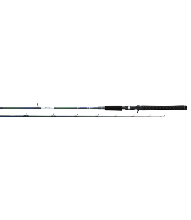 Daiwa Rg Walleye Spinning Rod [Rg631Mxs]