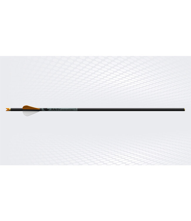 Ravin R500 .003 Arrows - 6-Pack
