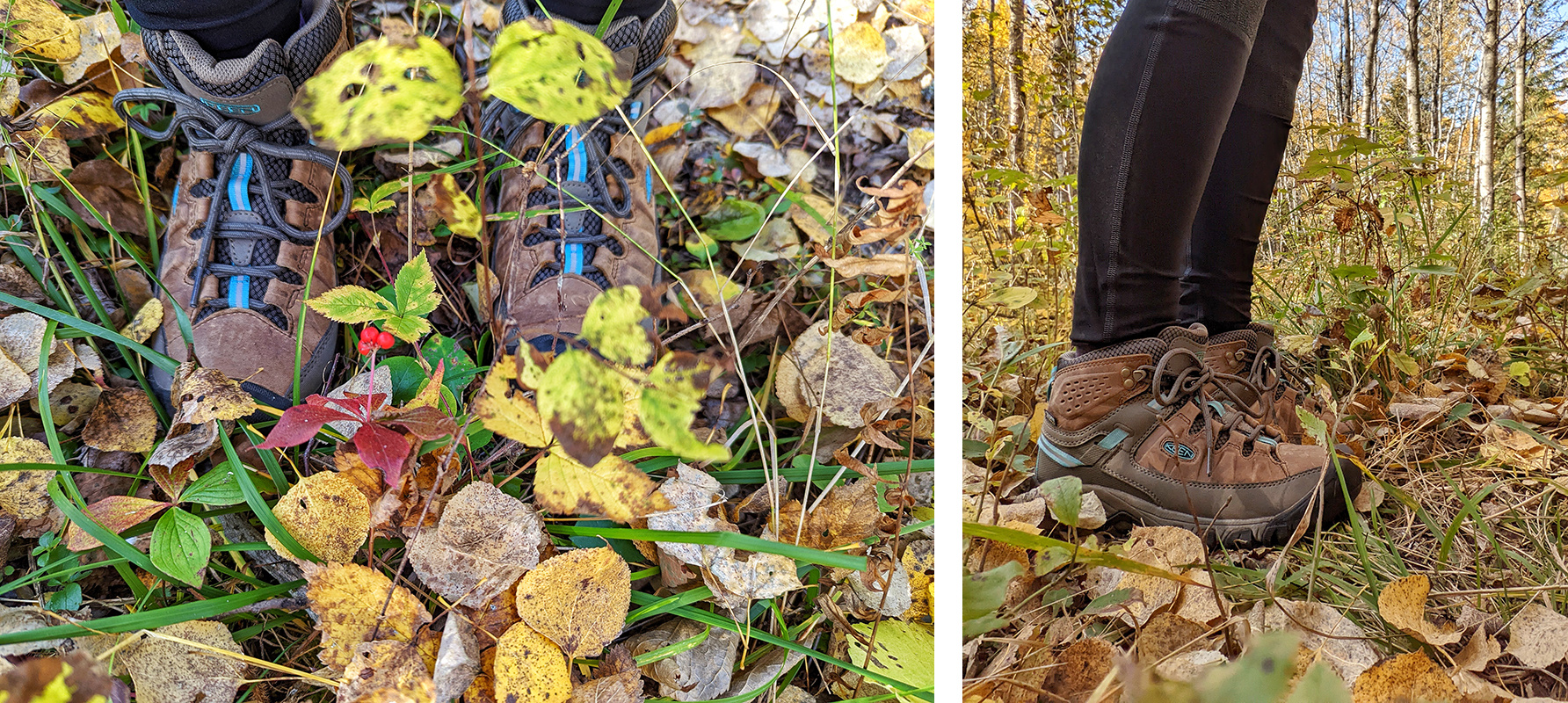 Foraging Tips - Waterproof Boots