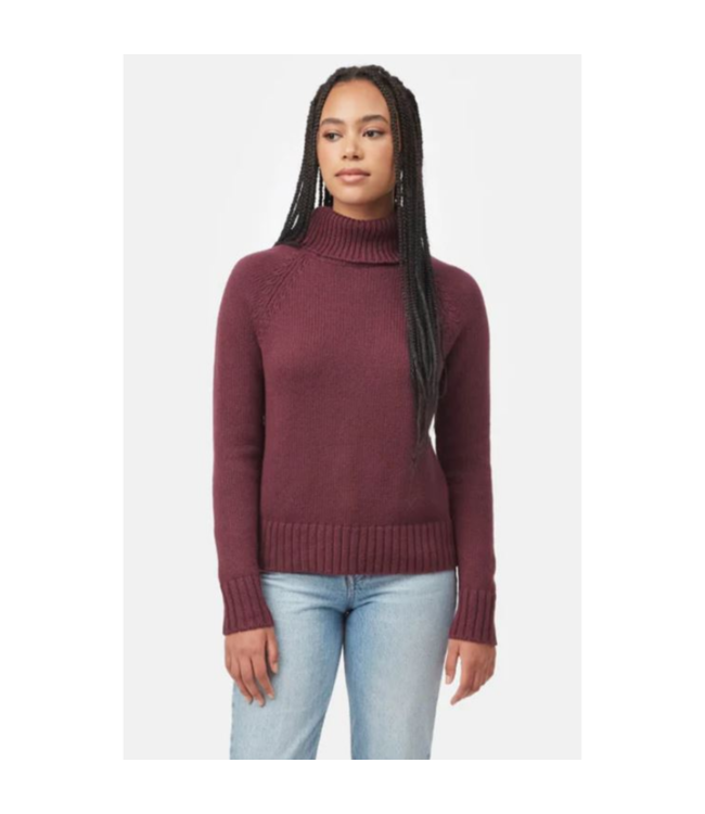 Tentree Women's Highline Wool Turtleneck Sweater
