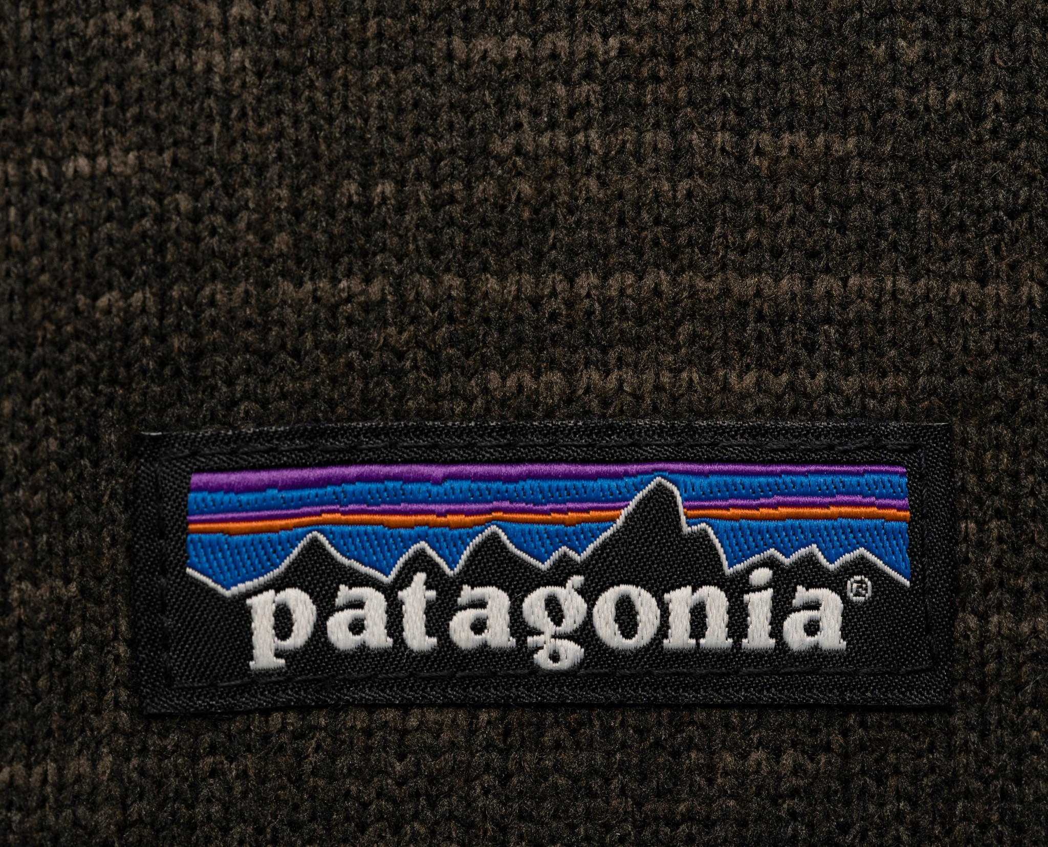 Patagonia sweater logo