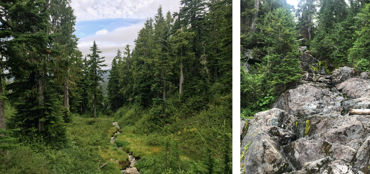 Elfin Lakes Trail - Squamish, BC