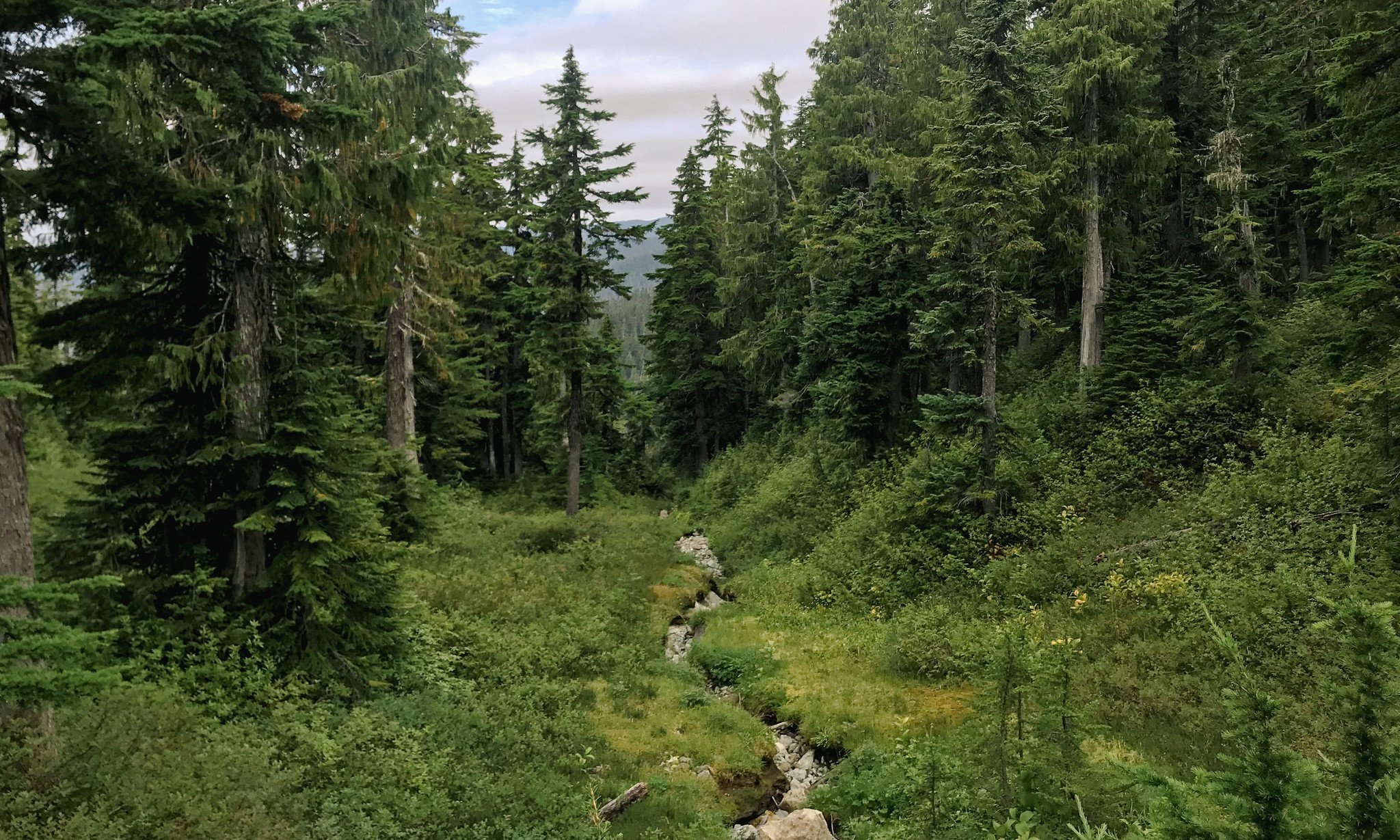 KEEN Terradora: From Local Trail Systems to Squamish, BC