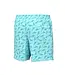 Huk Men's Pursuit Volley Rooster Wake Shorts