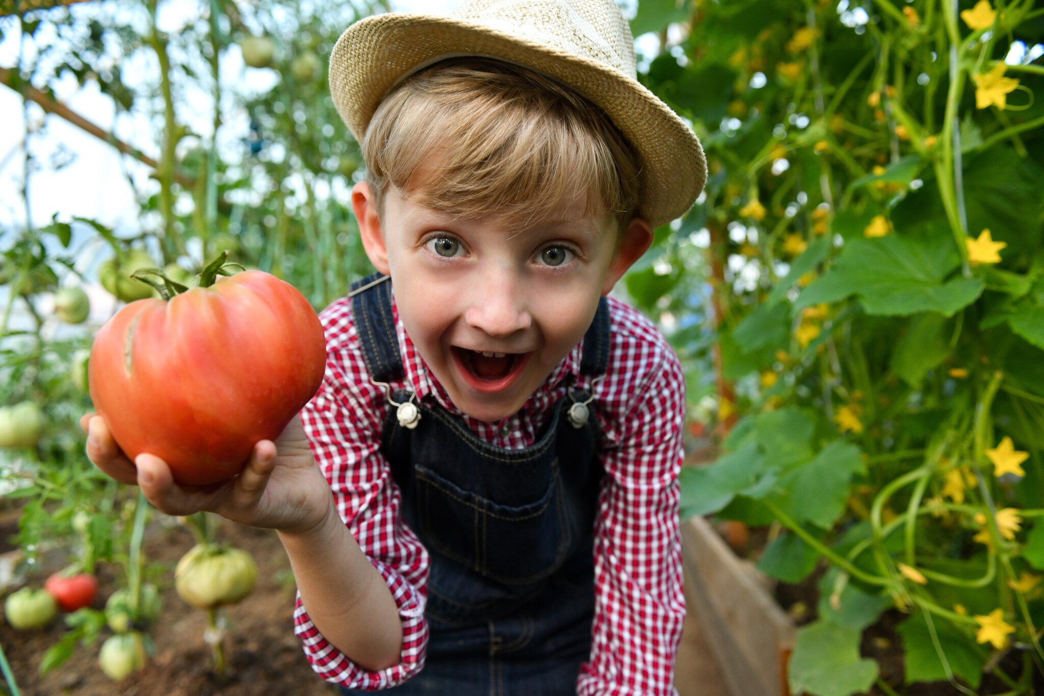 Kid Gardening