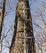SUMMIT STANDS Summit 20' Steel Climbing Stick