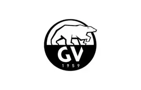 GV SNOWSHOES