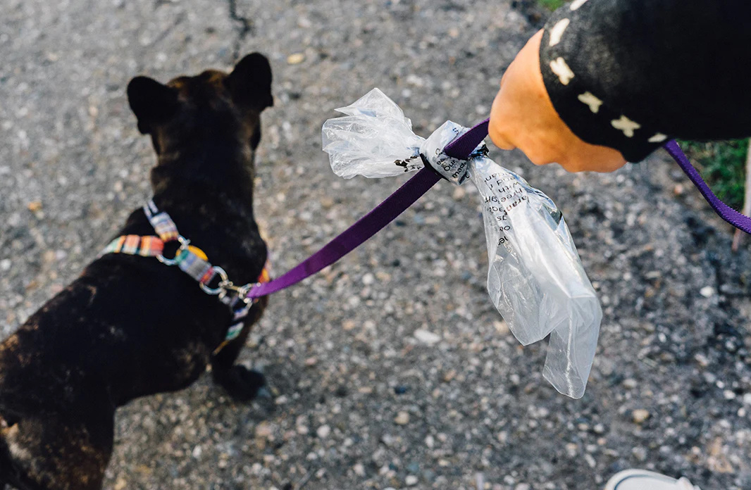 Reuse plastic bags