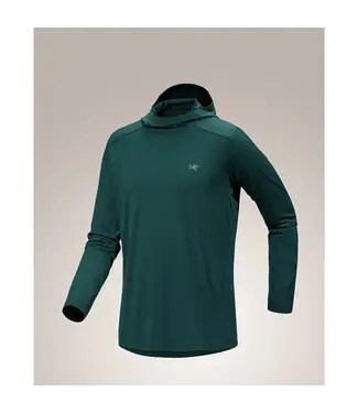 ARCTERYX Arc'teryx Men's Ionia Merino Wool Hoody