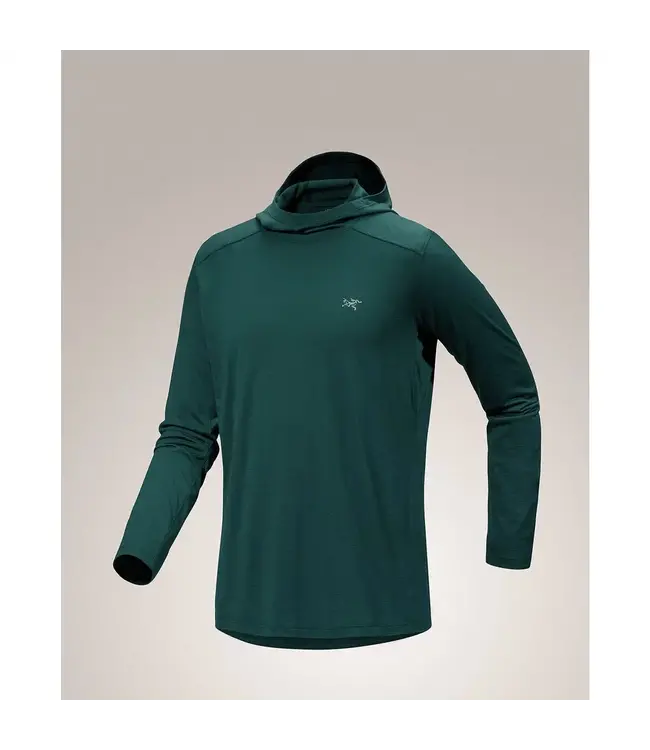 Arc'teryx Men's Ionia Merino Wool Hoody