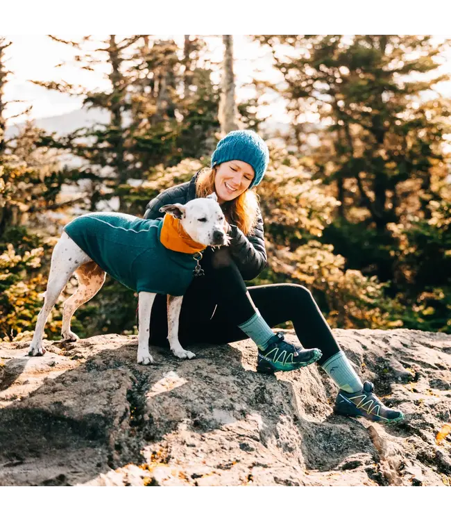 Darn Tough Women's Hiker Micro Crew Midweight Hiking Sock