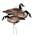 Higdon FLATS Canada Goose Motion Silhouette Decoy [12 PK]