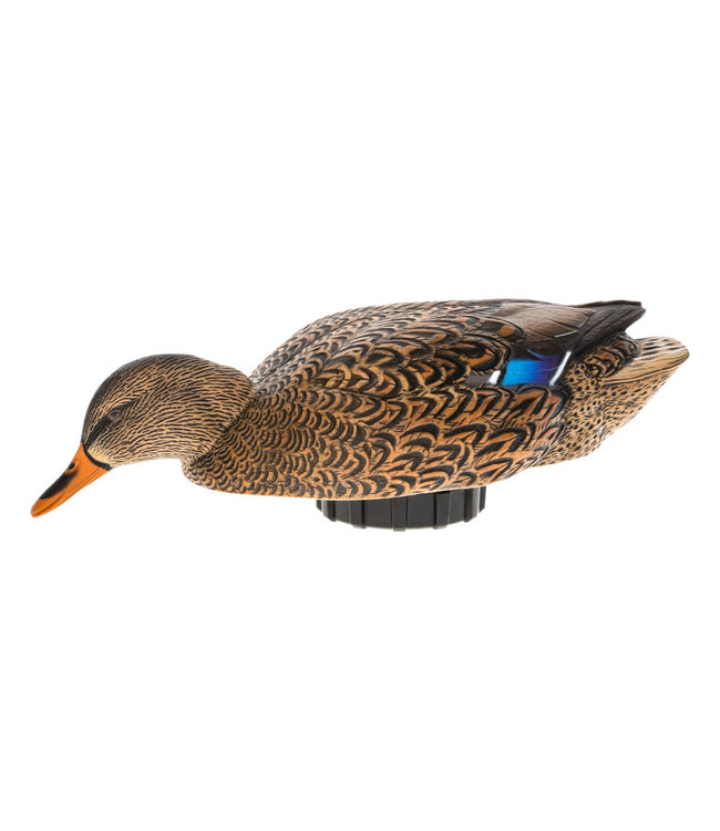 Avian-X Power Shaker Mallard Hen Surface Feeder Decoy