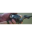 Daiwa 24 Tatula BF 70 Reel