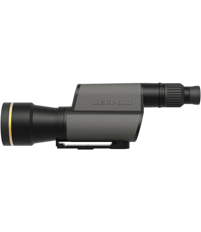 Leupold Gold Ring 20-60x80MM HD Spotting Scope