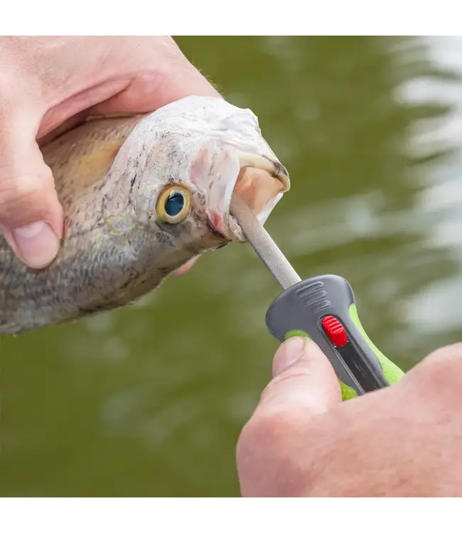 Smith's Mr. Crappie's Fish Pick and Hook Sharpener