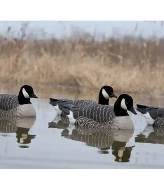 Avian-X Topflight Lessers Floating Goose Decoys - 4PK