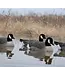 Avian-X Topflight Lessers Floating Goose Decoys - 4PK
