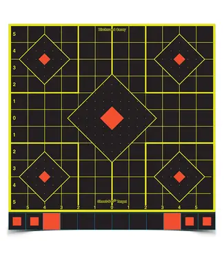 BIRCHWOOD Birchwood Shoot-N-C 12 Inch Sight-In, 12 Targets - 144 Pasters