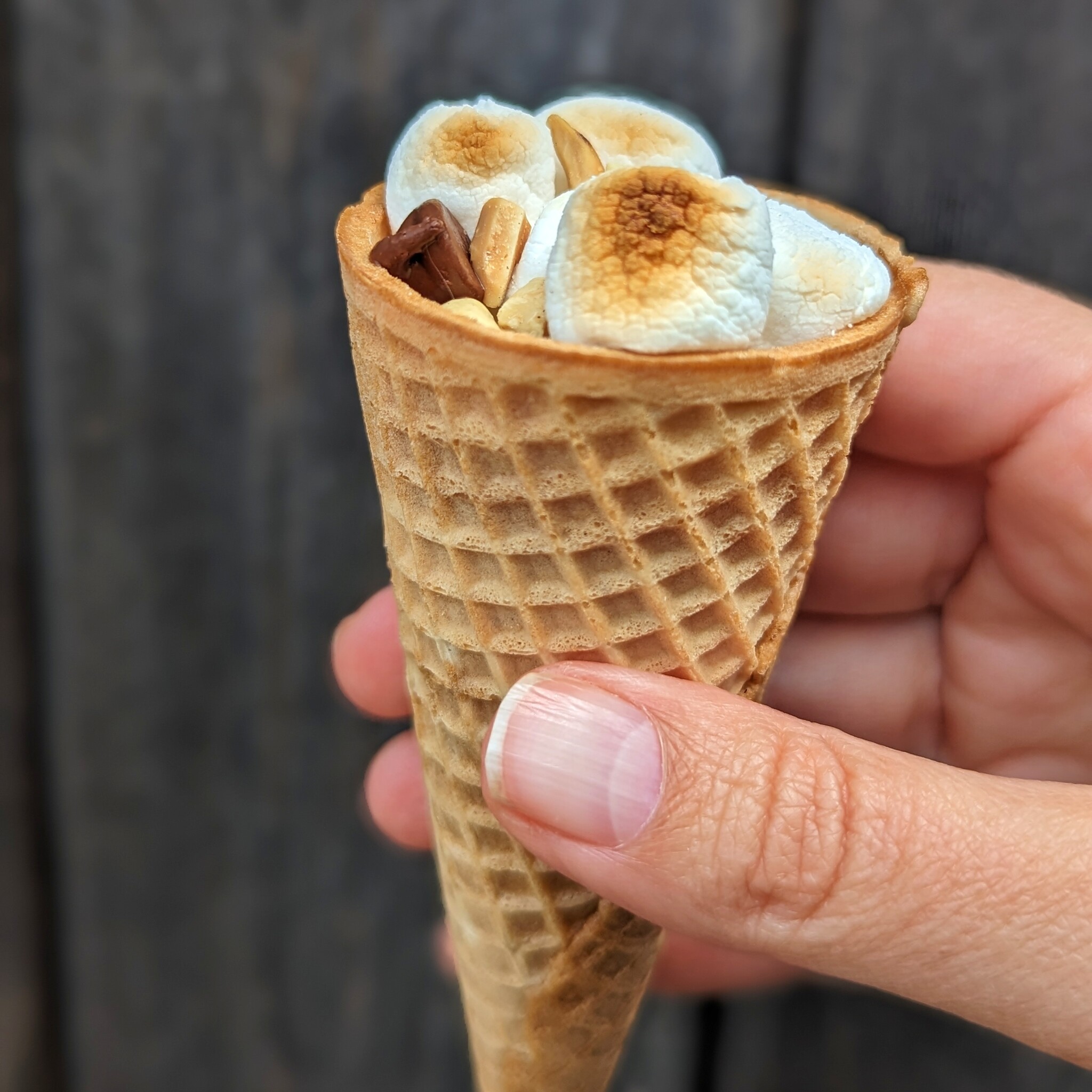 Campfire Cones