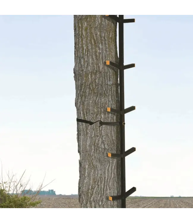 Muddy Outdoors Quick Stick XL 5-Piece Step